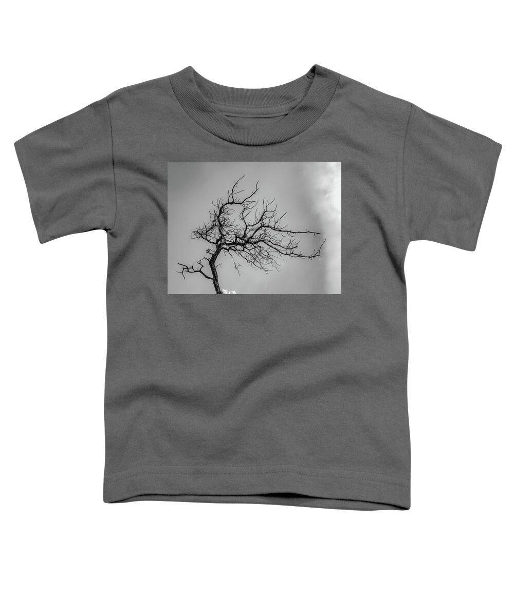 Tree In Colorado Toddler T-Shirt featuring the photograph Sculptures of Nature by Kevin Lane