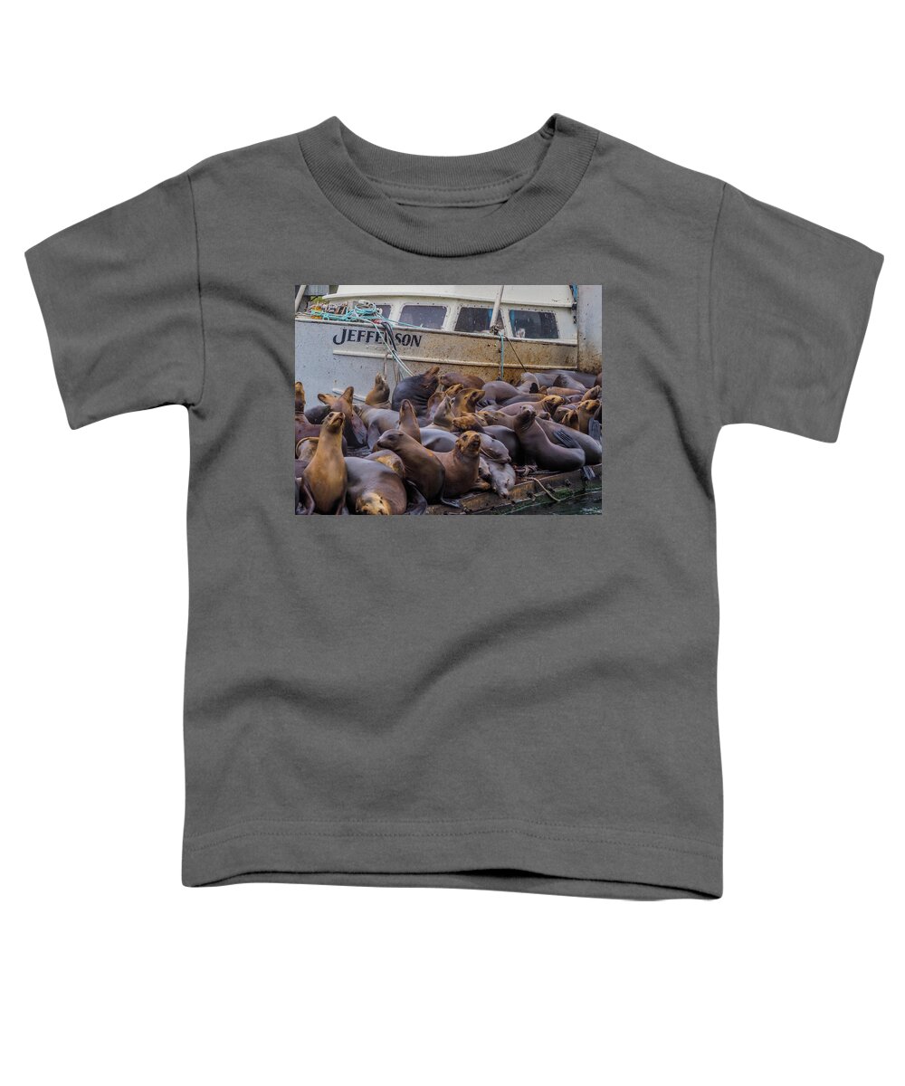 Sea Lions Toddler T-Shirt featuring the photograph Sea Lions in the Elkhorn Slough 114 by James C Richardson