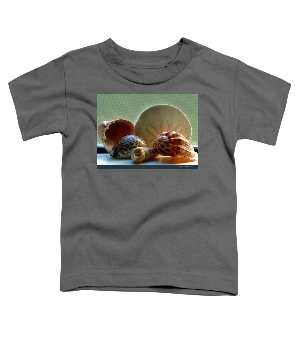 Still Life Toddler T-Shirt featuring the photograph Sea Shells Window Sill by Richard Thomas