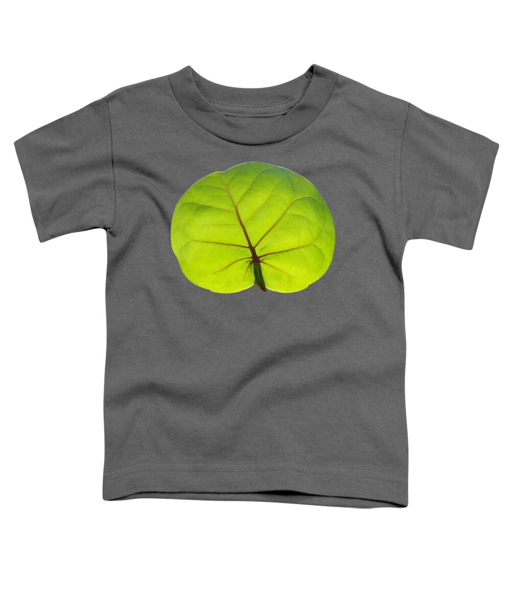 Duane Mcccullough Toddler T-Shirt featuring the photograph Seagrape Leaf Clear by Duane McCullough