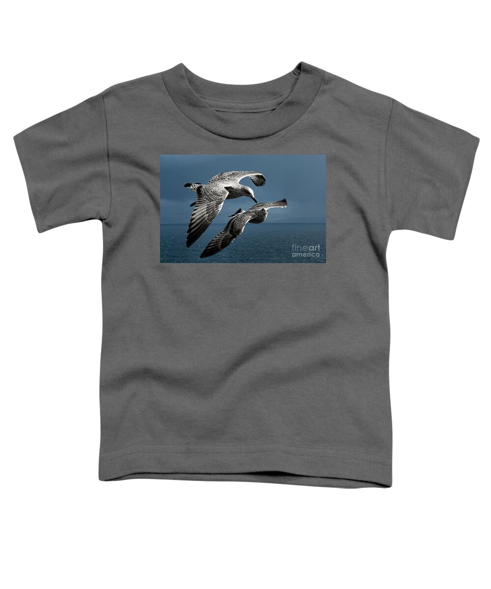 Bird Toddler T-Shirt featuring the photograph Seagulls Flying Formation by Andreas Berthold