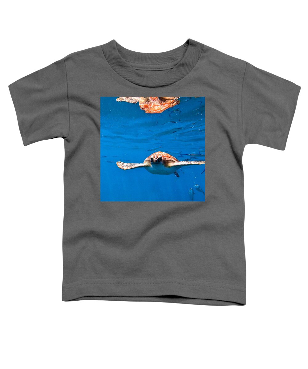 Turtle Toddler T-Shirt featuring the photograph Searching for Nemo by Devin Wilson