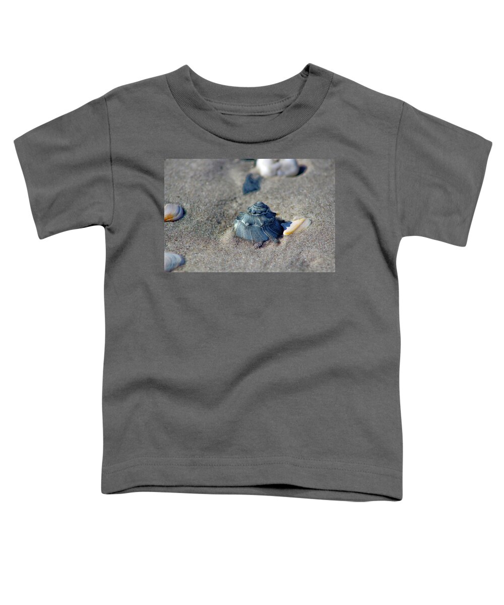 Seashell Sand Castle Toddler T-Shirt featuring the photograph Seashell Sand Castle by Linda Sannuti