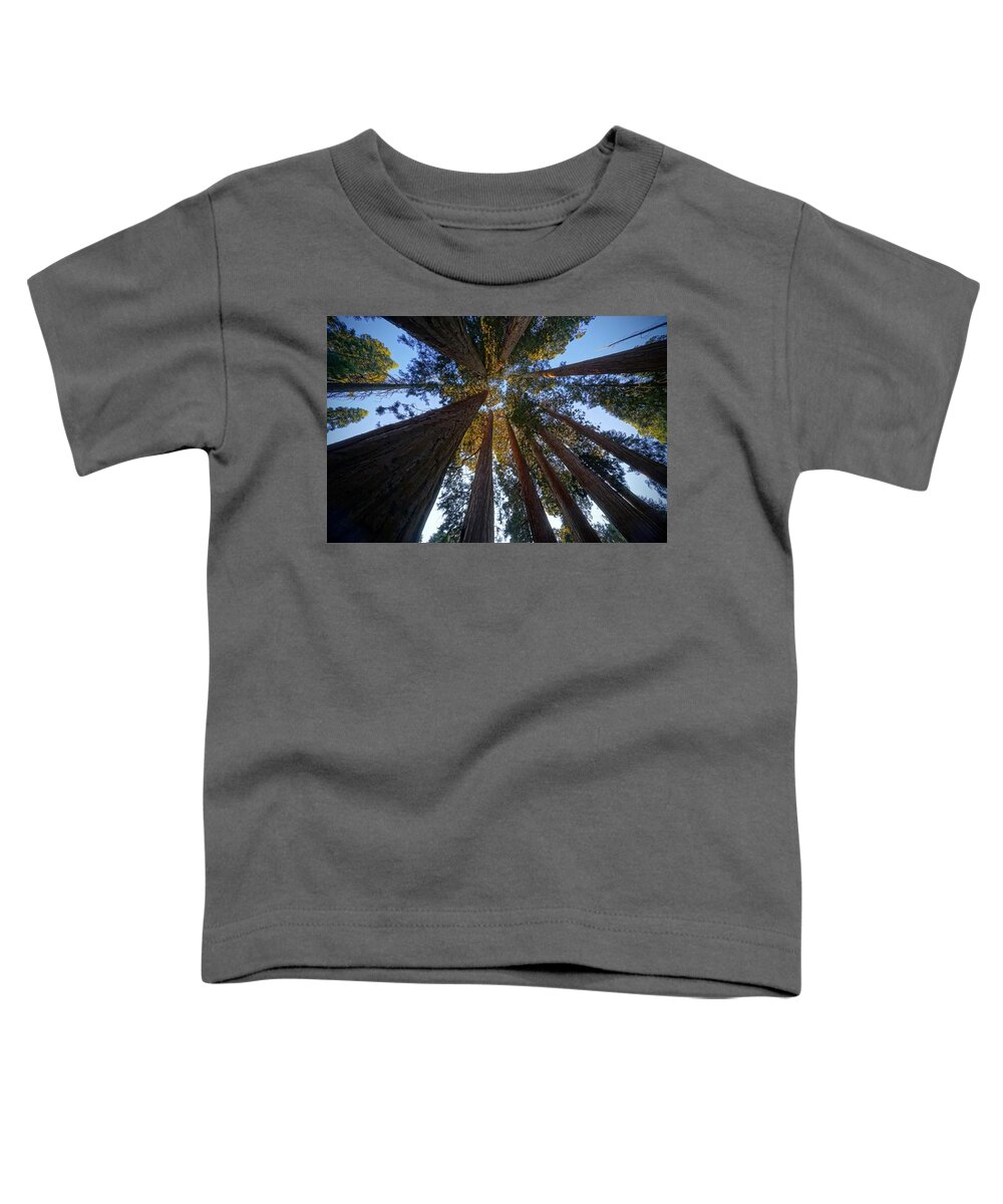 Giant Sequoia Trees Toddler T-Shirt featuring the photograph Sequoia Filled Sky by Brett Harvey