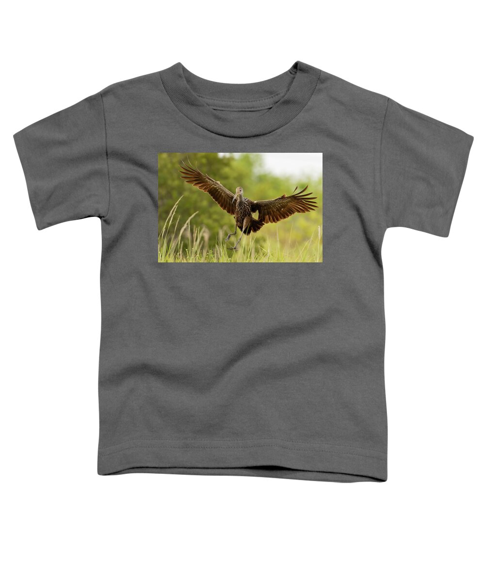 Limpkin Toddler T-Shirt featuring the photograph Setting Down by RD Allen