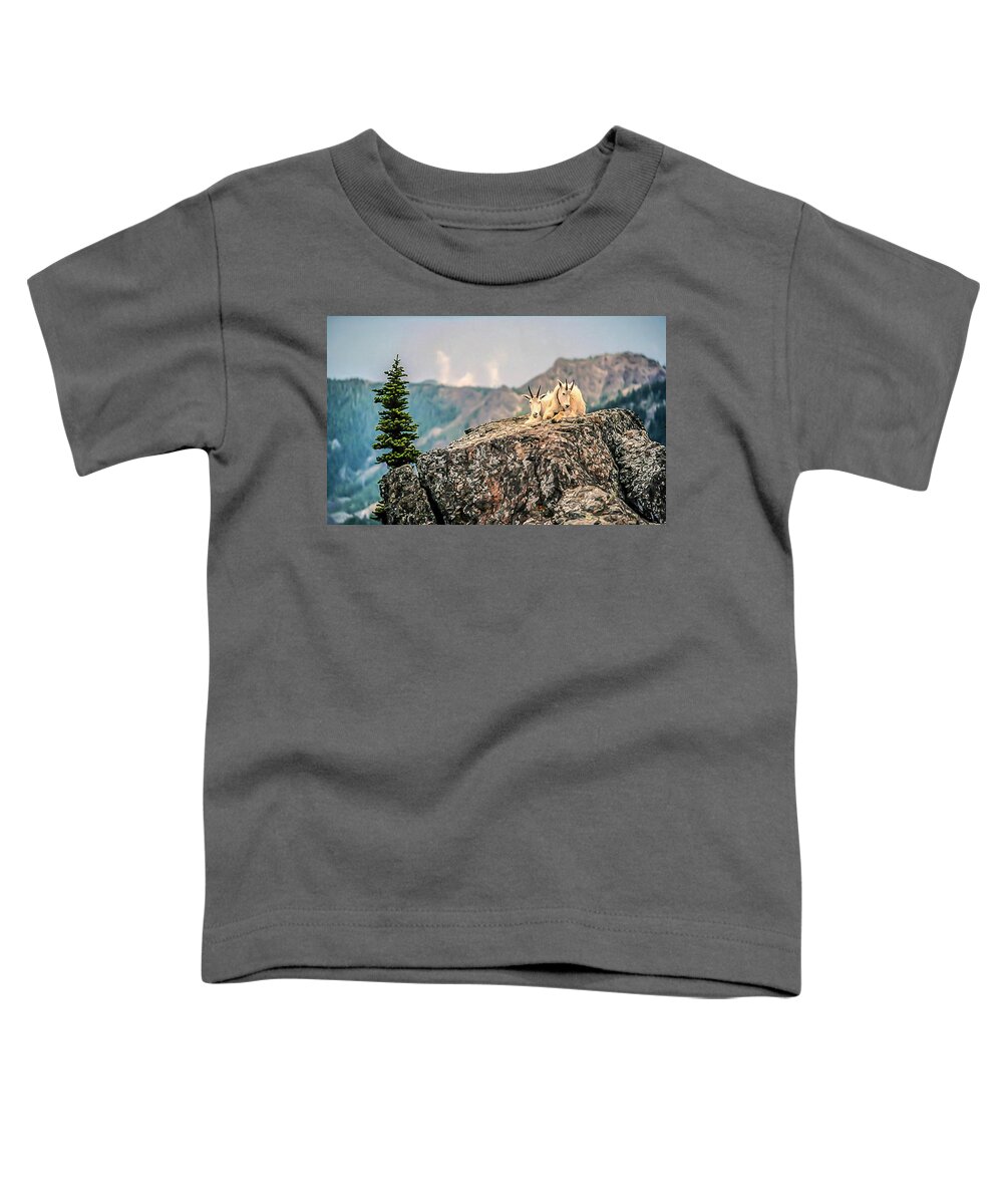 Olympic National Park Toddler T-Shirt featuring the photograph Sharing Rest Spot by Doug Scrima
