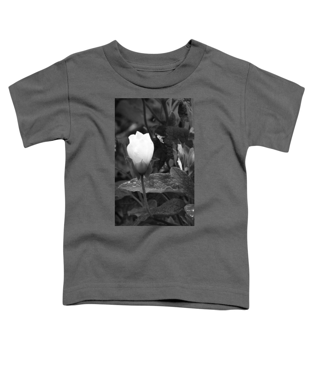 Bnw Toddler T-Shirt featuring the photograph Shining Light 2020 by Auranatura Art