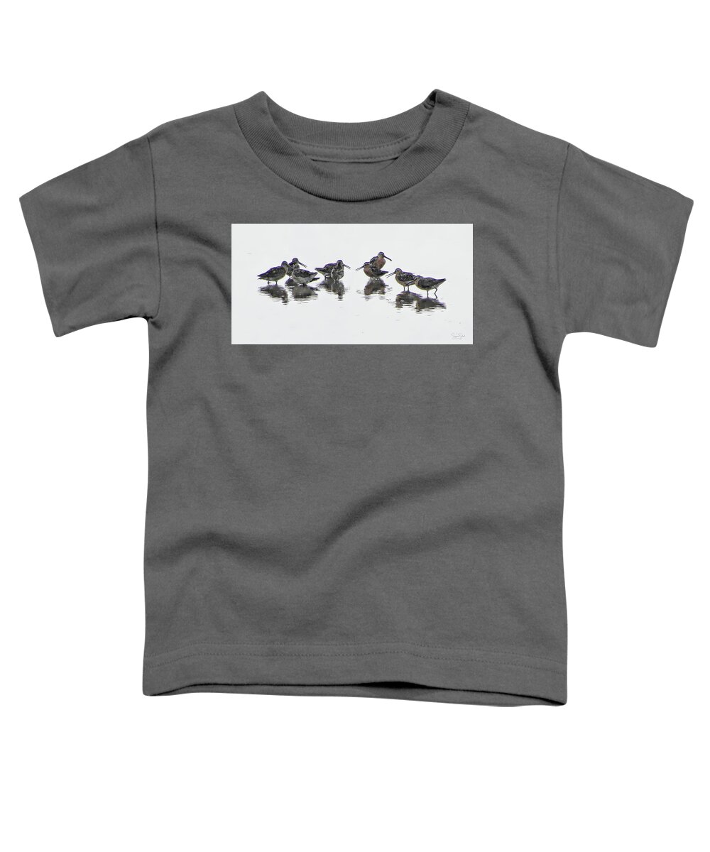 Birds Toddler T-Shirt featuring the photograph Short-Billed Dowitchers by Suzanne Stout
