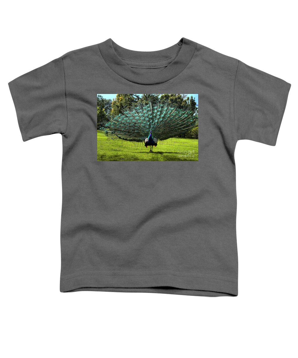 Peacock Toddler T-Shirt featuring the photograph Showing Off by Paolo Signorini