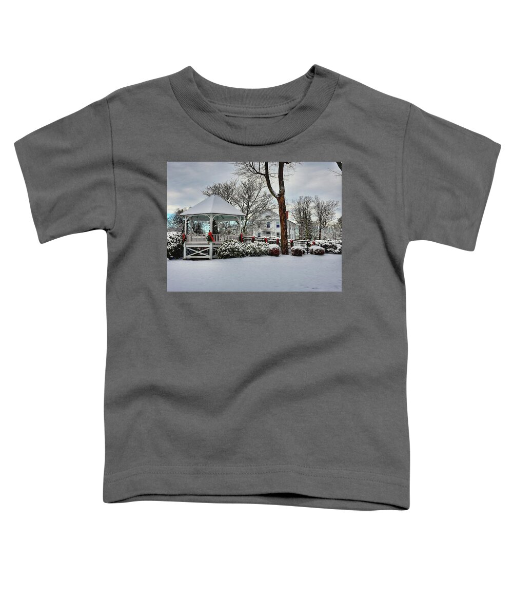 Shrewsbury Toddler T-Shirt featuring the photograph Shrewsbury Town Common covered in snow by Monika Salvan