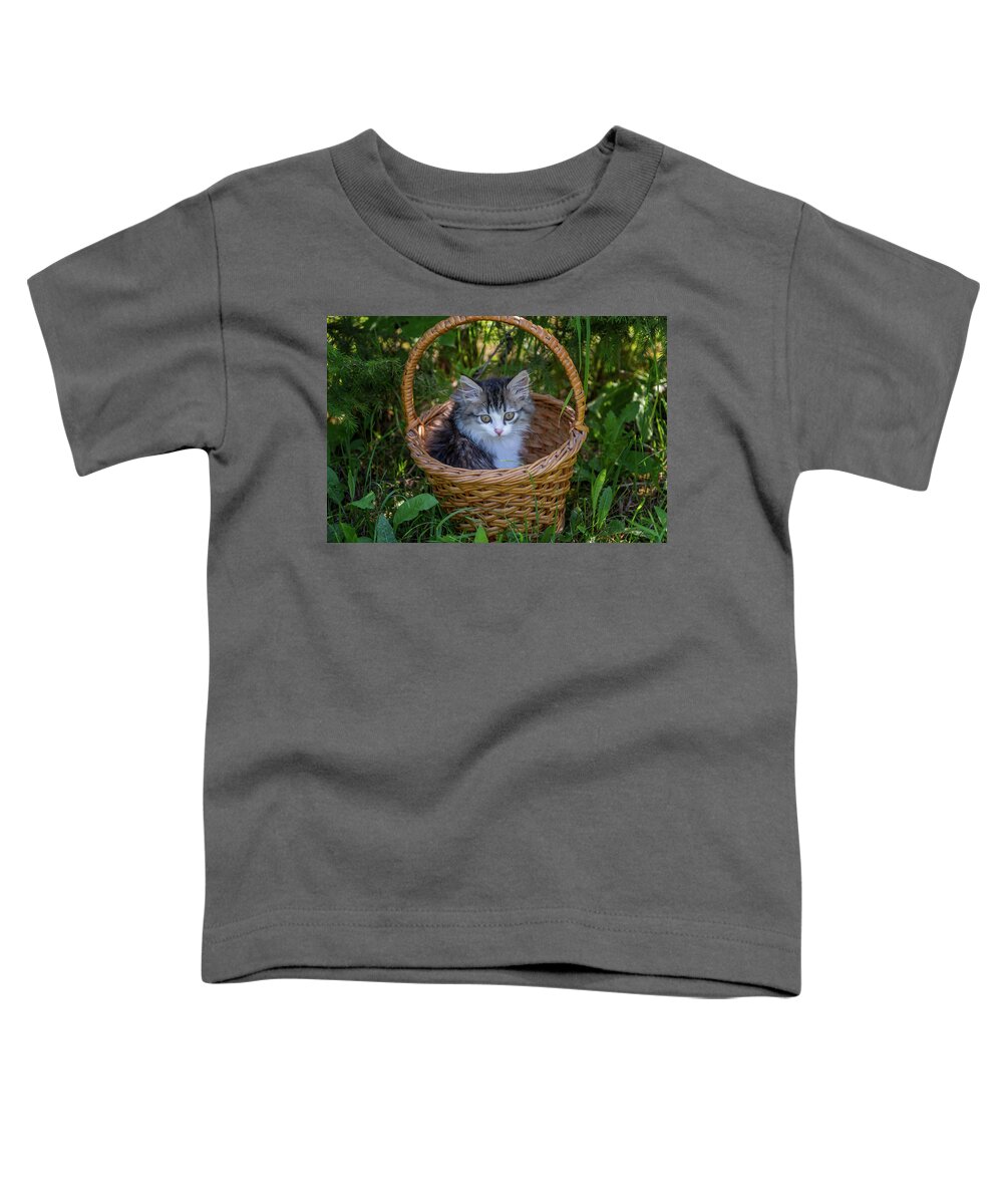 Pet Toddler T-Shirt featuring the photograph Siberian kitten portrait in the basket by Mikhail Kokhanchikov