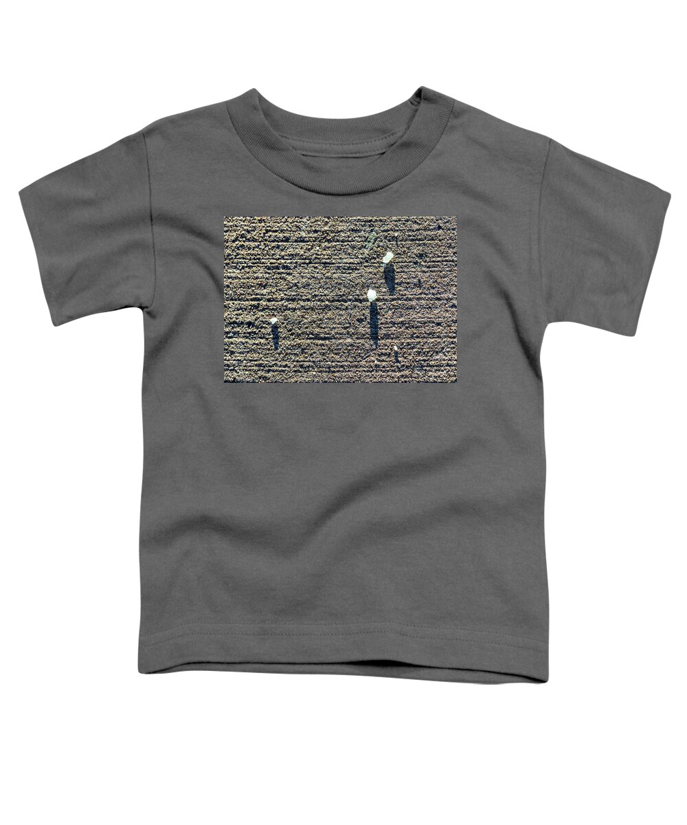 Concrete Toddler T-Shirt featuring the photograph Sidewalk Salt by Amelia Pearn