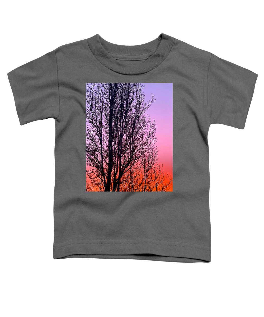 Sunrise Toddler T-Shirt featuring the photograph Silhouette Sunrise by Brian Eberly
