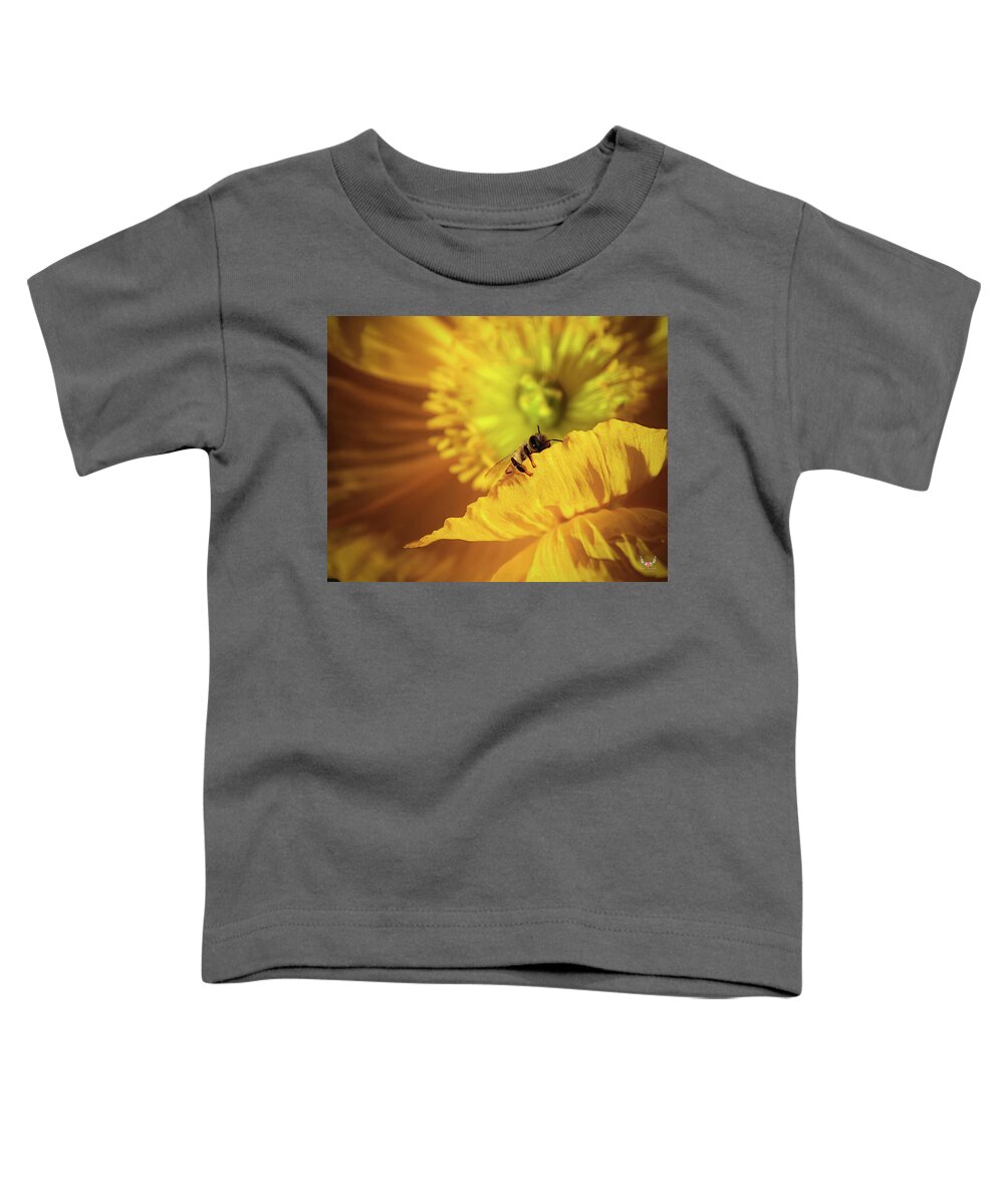 Yellow Toddler T-Shirt featuring the photograph Sleeping Bee by Pam Rendall
