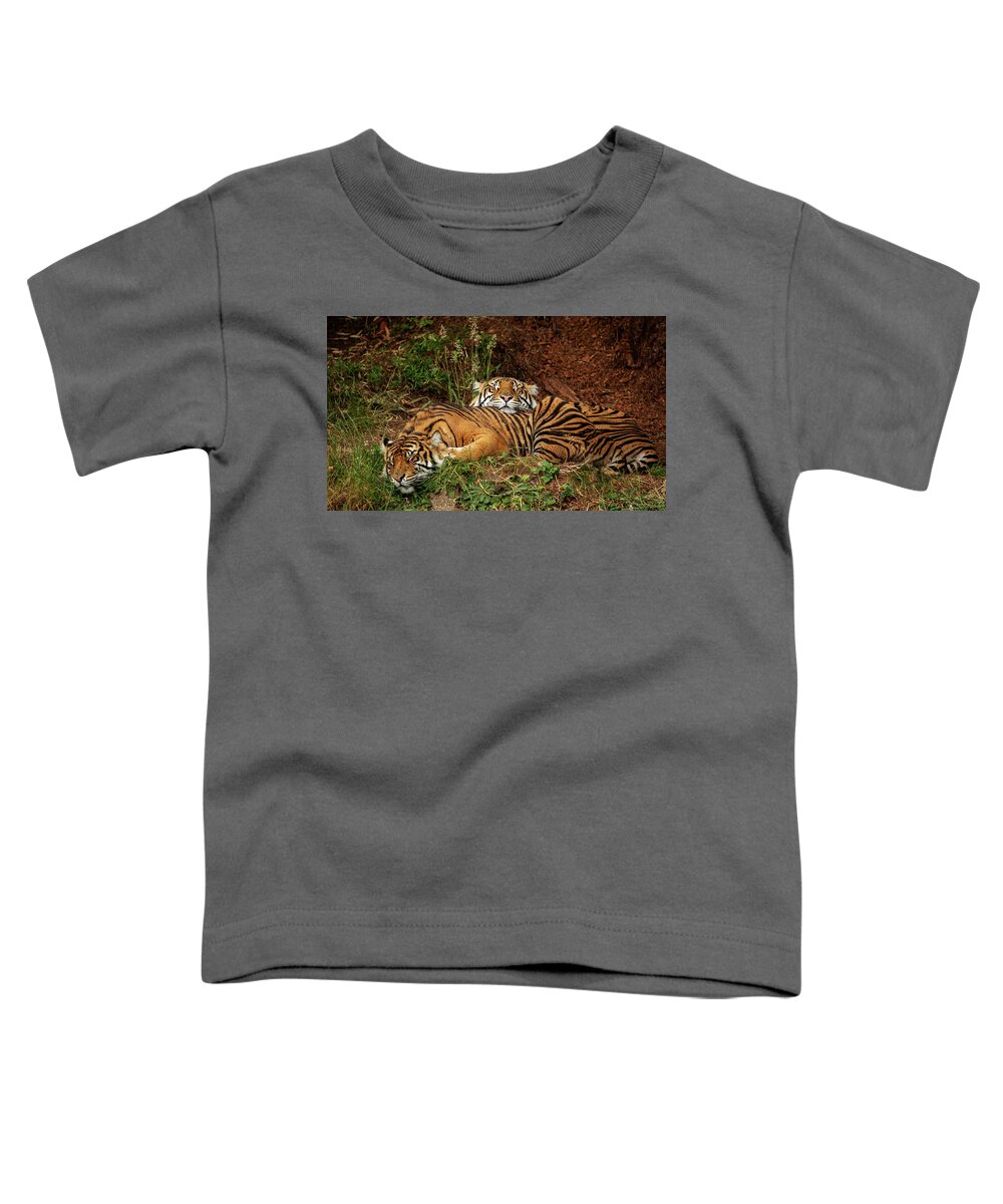 Animals Toddler T-Shirt featuring the photograph Sleeping Tigers by Bob Cournoyer