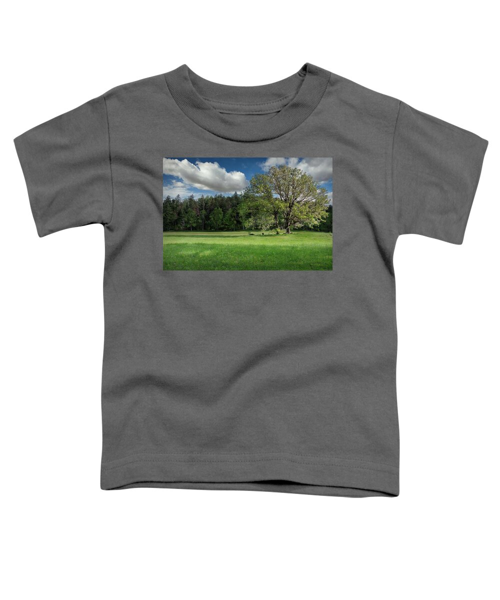  Beauty In Nature Toddler T-Shirt featuring the photograph Smoky Mountain Tree by Jon Glaser