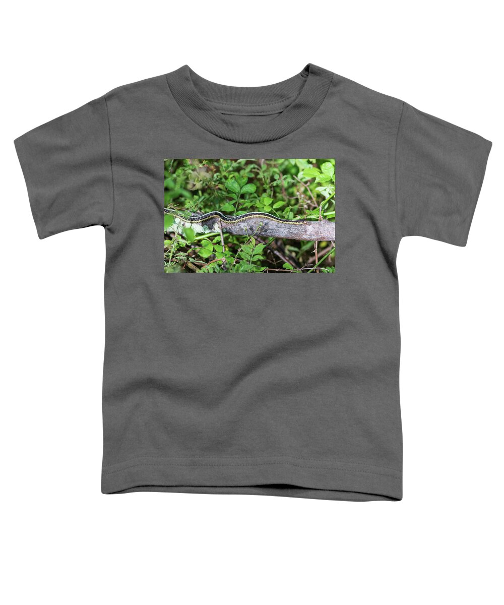 Reptile Toddler T-Shirt featuring the photograph Snake on a Log by Amelia Pearn