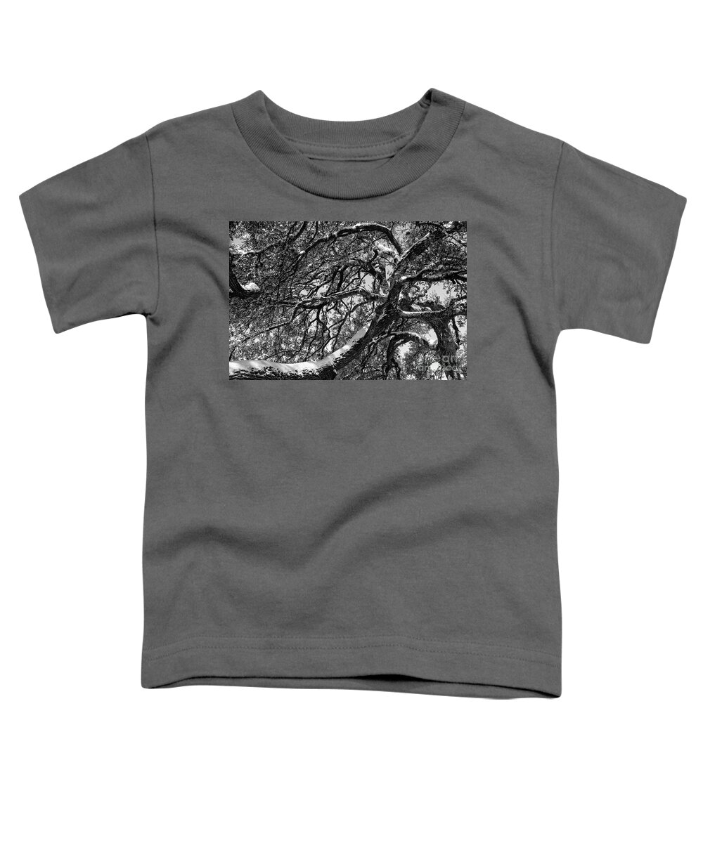Georgetown Toddler T-Shirt featuring the photograph Snow Covered Great Oak 2 by Bob Phillips