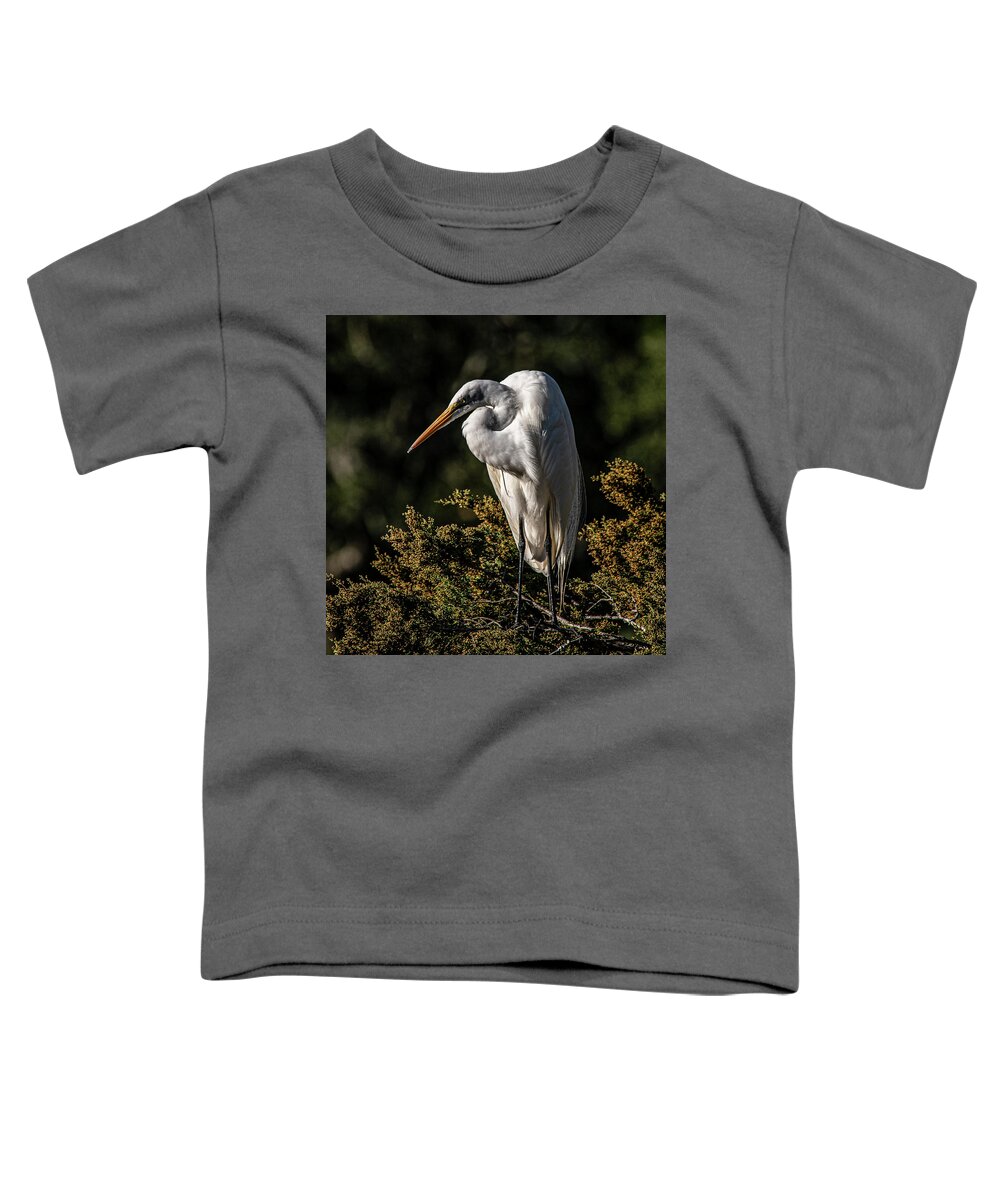  Toddler T-Shirt featuring the photograph Snow Egret in a Tree Egret by Daniel Hebard