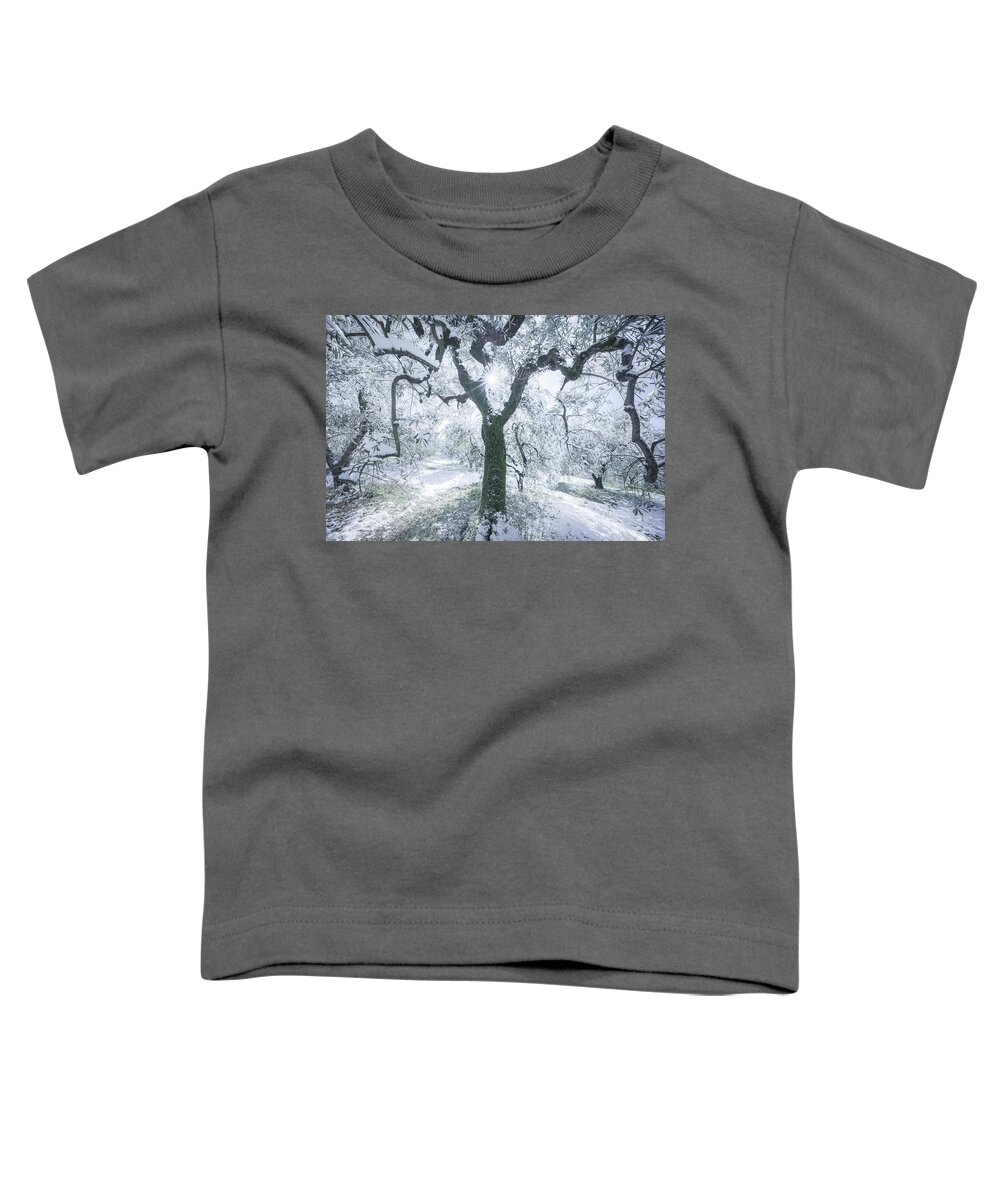 Olive Toddler T-Shirt featuring the photograph Snow in Tuscany, olive trees in the grove. by Stefano Orazzini