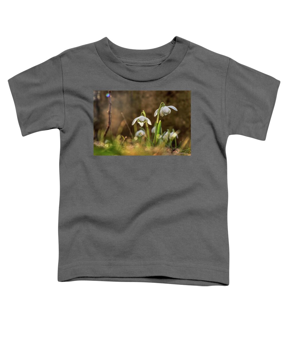 Galanthus Nivalis Toddler T-Shirt featuring the photograph Galanthus nivalis in gardenbed with backlight by Vaclav Sonnek