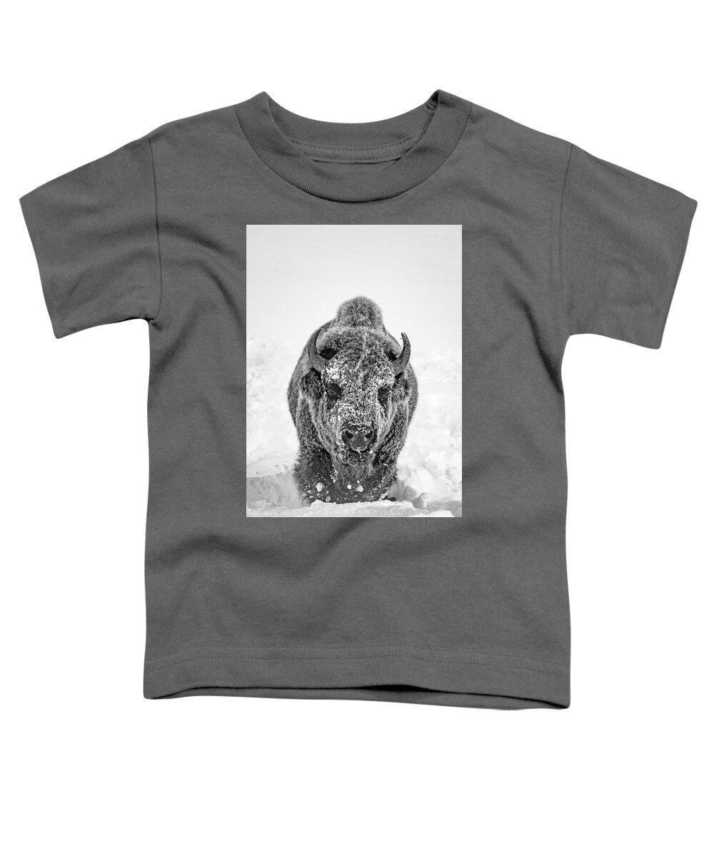 Bison Toddler T-Shirt featuring the photograph Snowy Bison by D Robert Franz