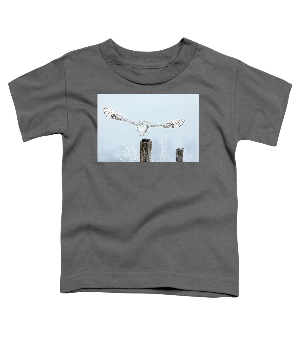 Snowy Owls Toddler T-Shirt featuring the photograph Snowy Take Off by Mark Harrington