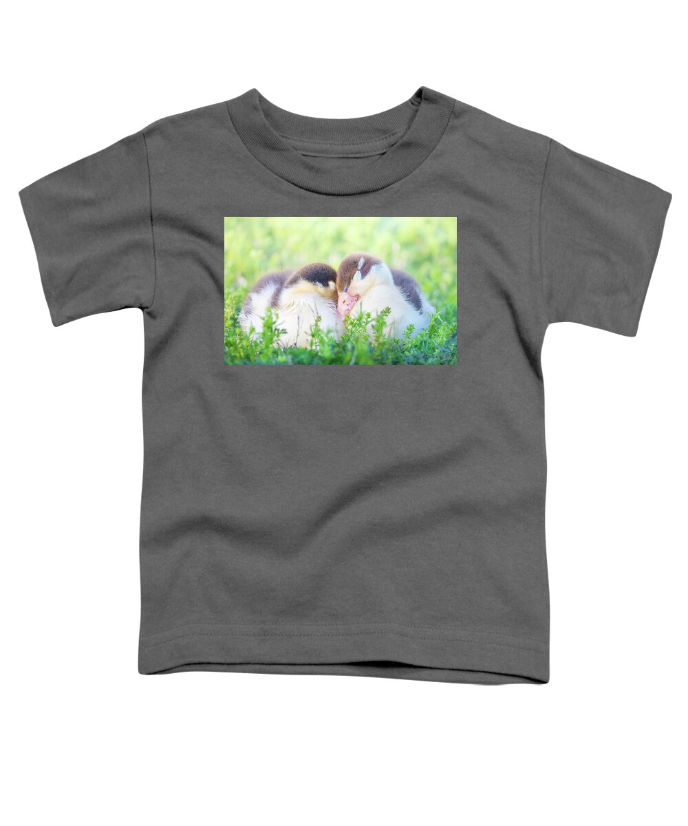 Napping Toddler T-Shirt featuring the photograph Snuggling Ducklings by Jordan Hill