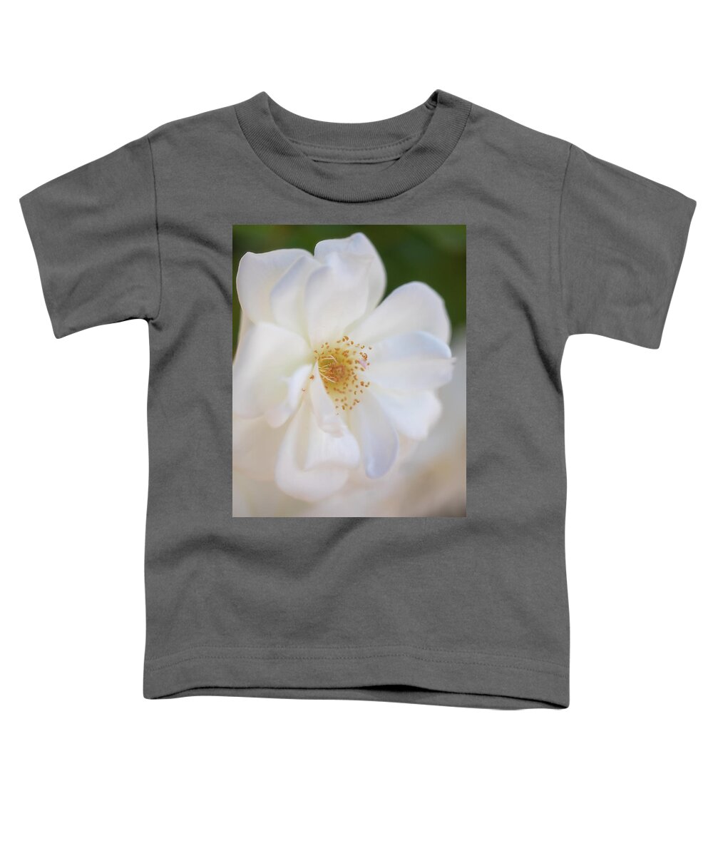 Flower Toddler T-Shirt featuring the photograph Soft White Beauty by Teresa Wilson
