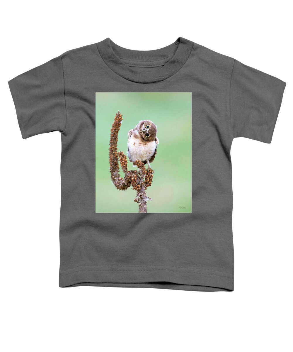 Burrowing Owl Toddler T-Shirt featuring the photograph Some days I can't tell which way is up by Judi Dressler