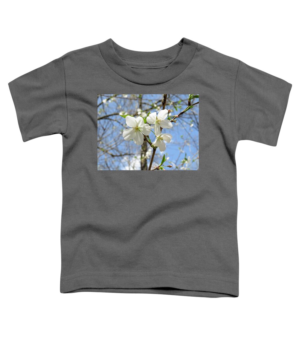 Blossoms Toddler T-Shirt featuring the photograph Some Macon Cherry Blossoms by Ed Williams
