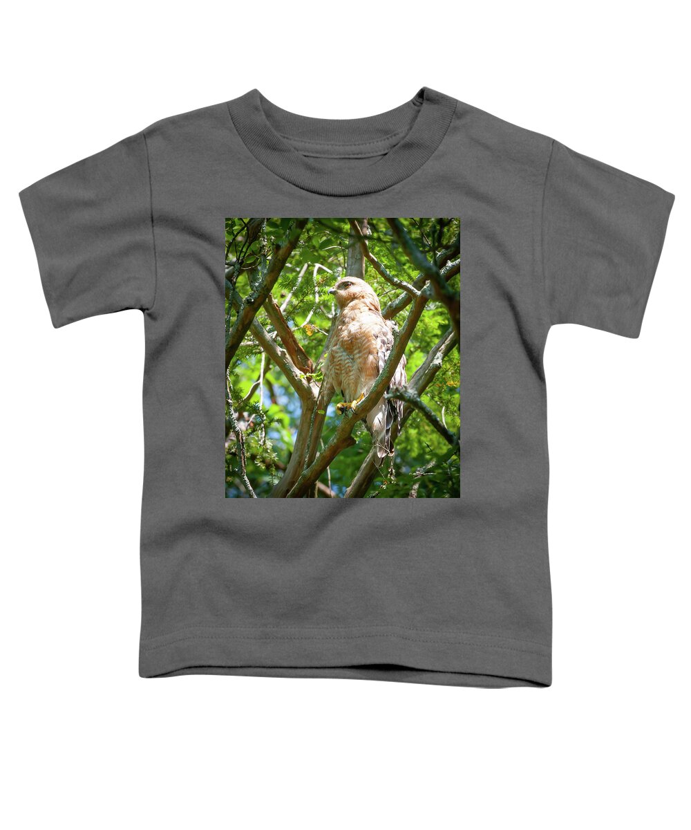 Hawk Toddler T-Shirt featuring the photograph South Carolina Hawk by Brent Craft