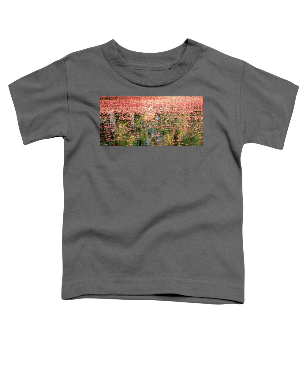 Cranberries Toddler T-Shirt featuring the photograph South Jersey Cranberry Bogs by GeeLeesa