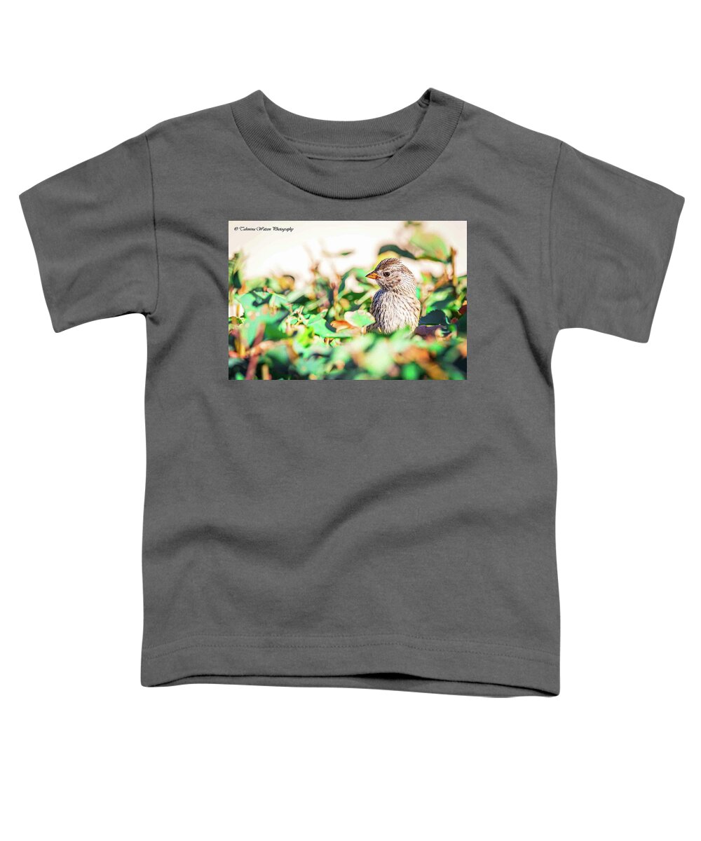Bird Toddler T-Shirt featuring the photograph White crowned sparrow by Tahmina Watson