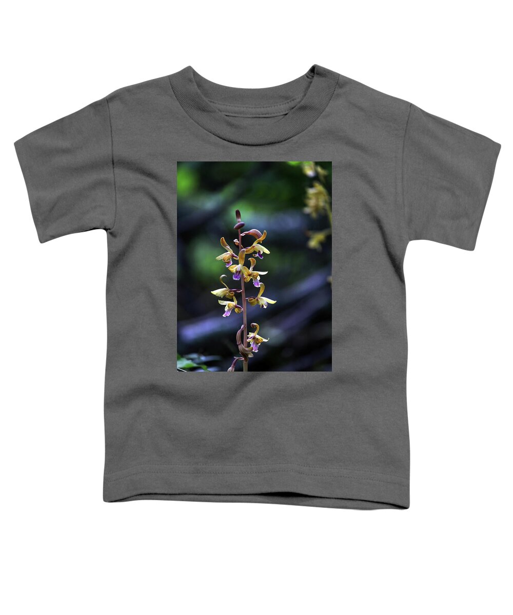  Toddler T-Shirt featuring the photograph Spiked Crested Coralroot by William Rainey
