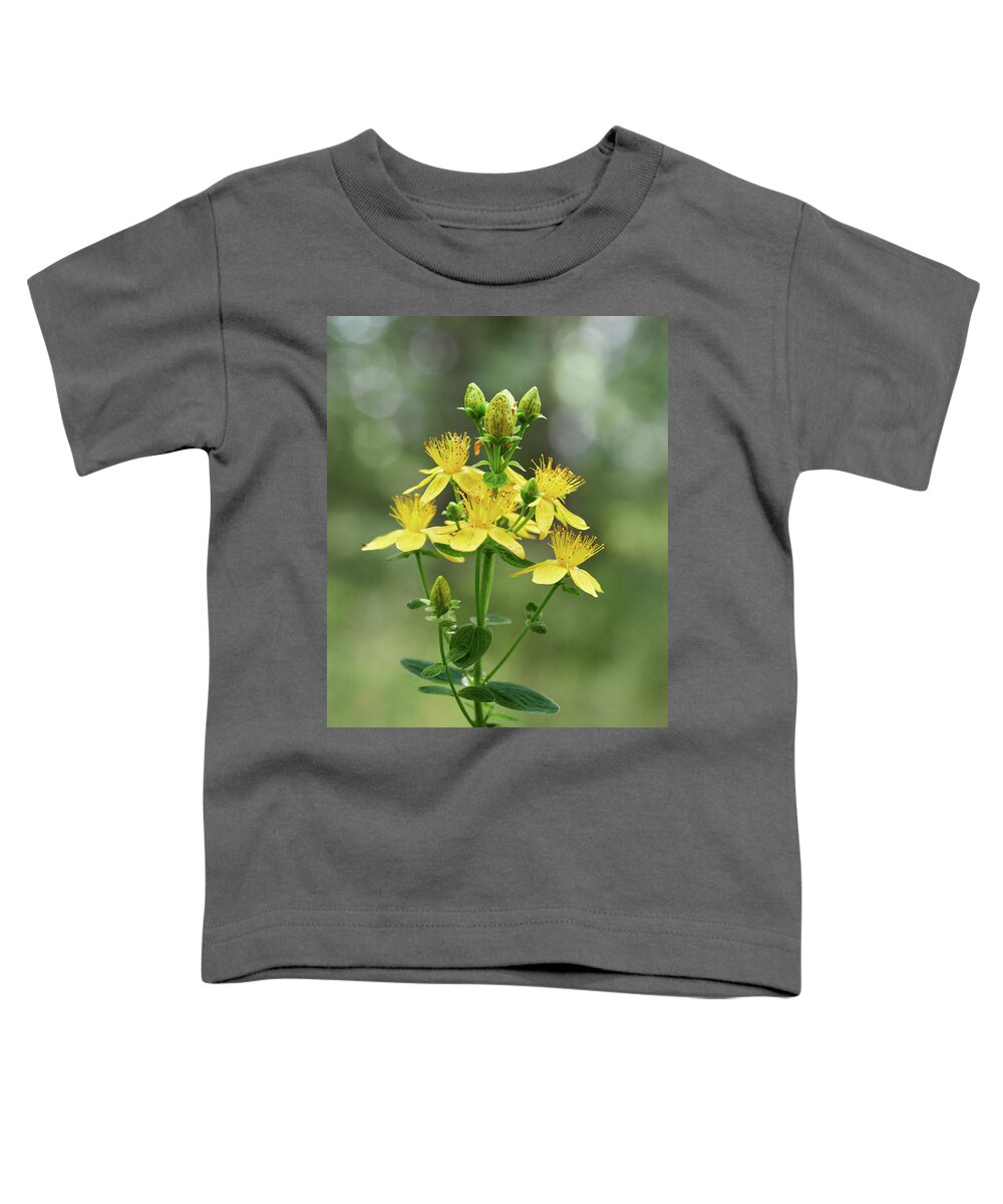 Finland Toddler T-Shirt featuring the photograph Spotted St. Johnswort 4 by Jouko Lehto