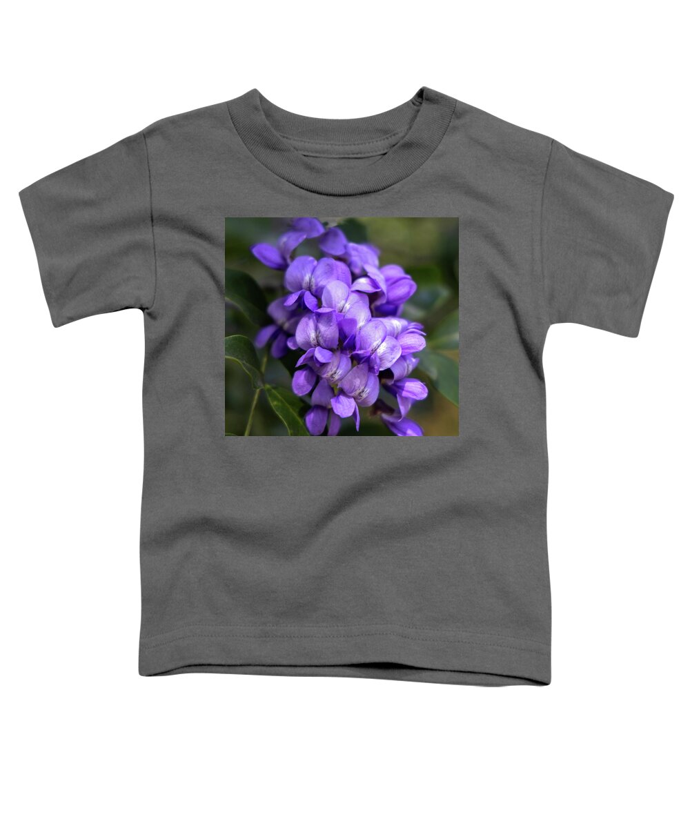 Blossoms Toddler T-Shirt featuring the photograph Spring Blossoms, Zilker Gardens by James Woody