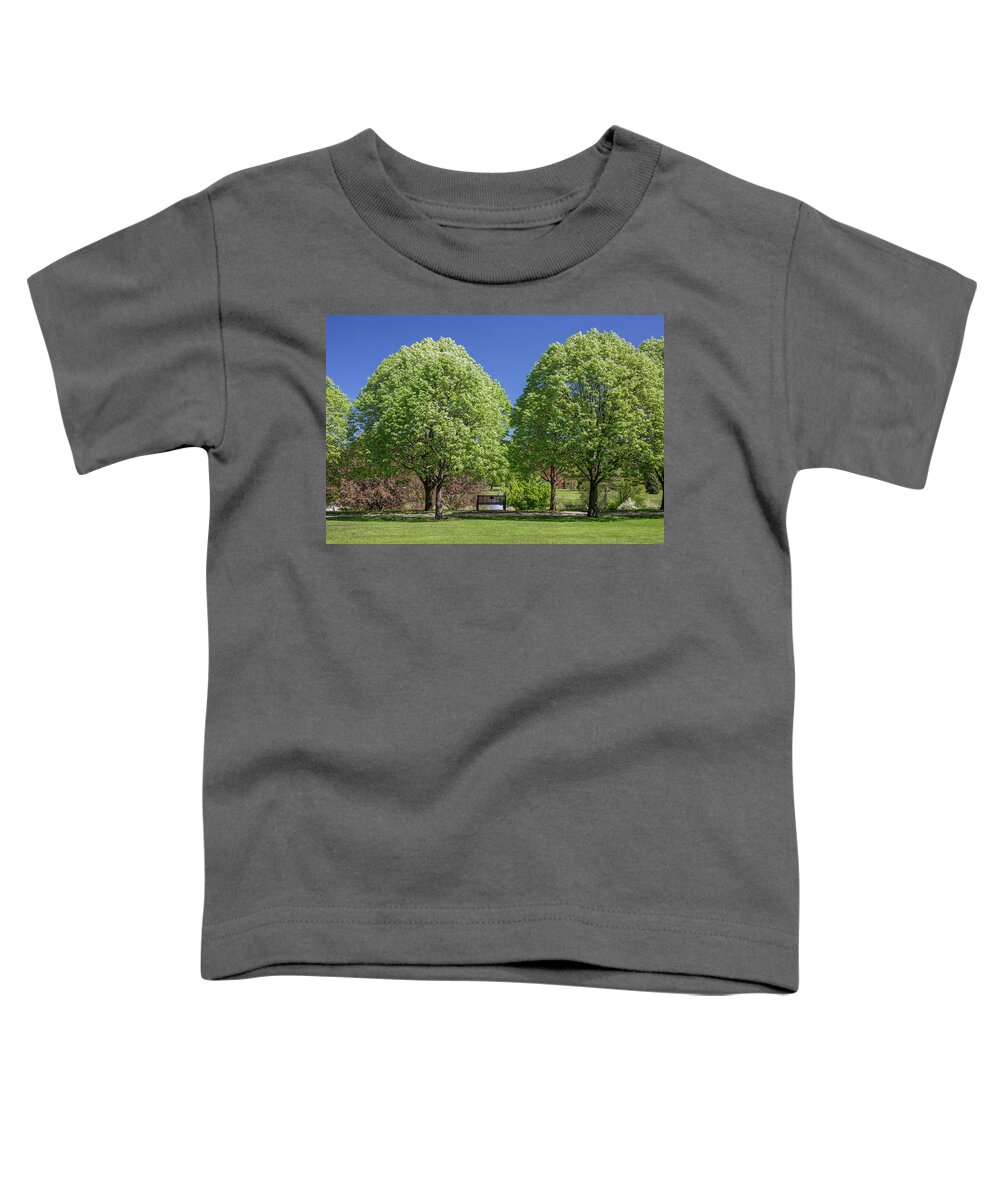 Spring Garden Park Bench Toddler T-Shirt featuring the photograph Spring Garden Park Bench by Dan Sproul