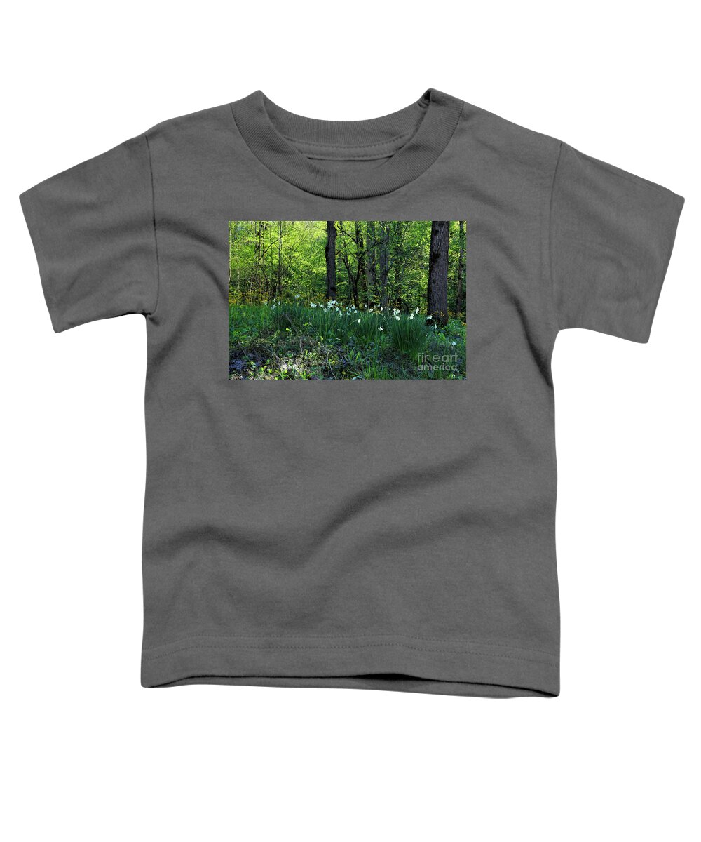 Spring In Great Smoky Mountains At Sunset Toddler T-Shirt featuring the photograph Spring In Great Smoky Mountains At Sunset by Felix Lai