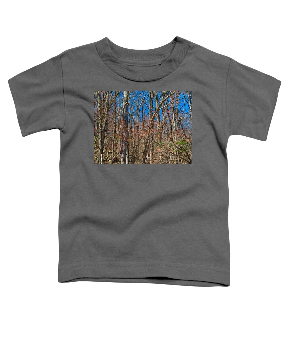 Nature Toddler T-Shirt featuring the photograph Spring in the Mountains by Judy Cuddehe