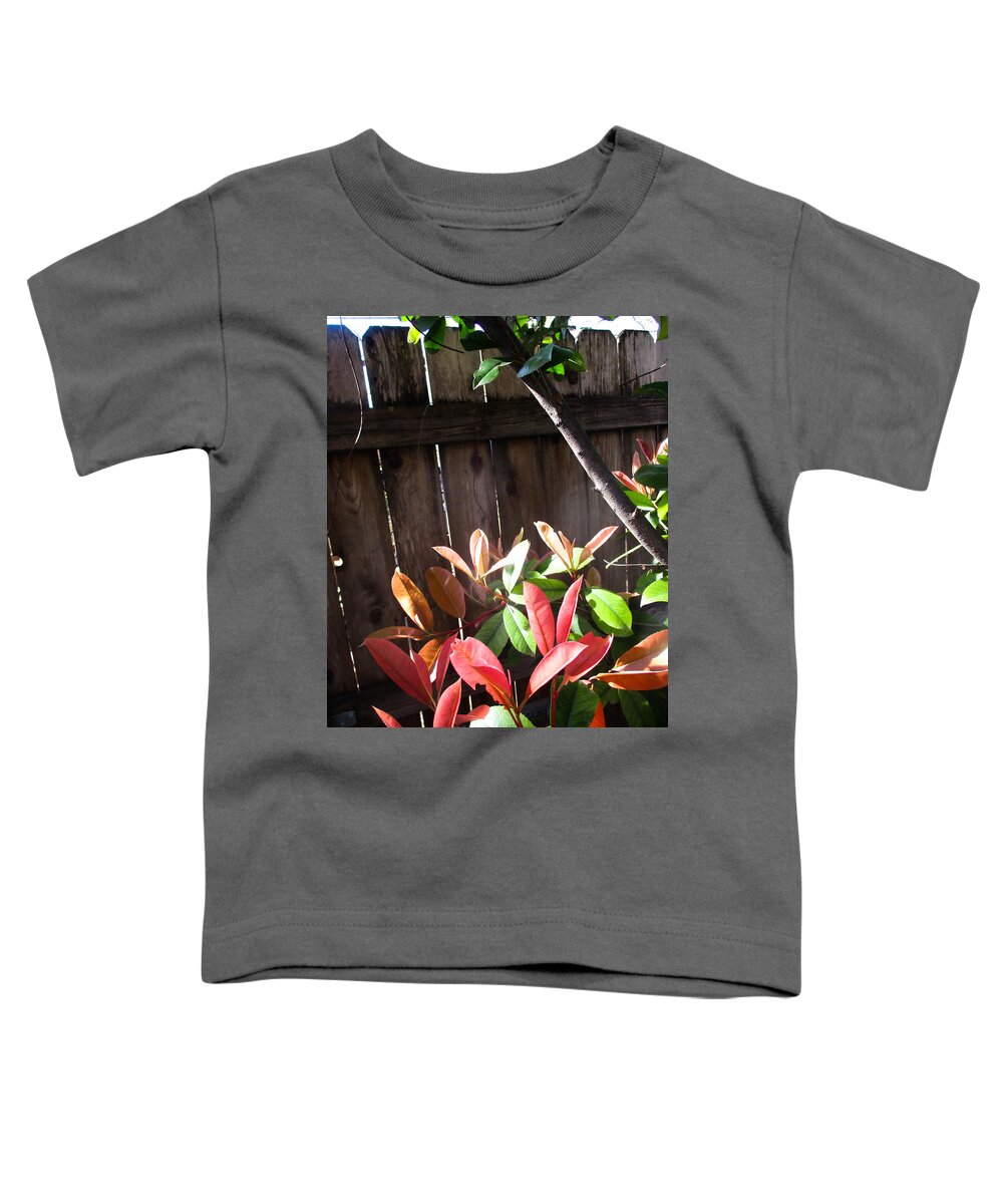 Photinia Toddler T-Shirt featuring the photograph Spring Photinia in the Sun by W Craig Photography