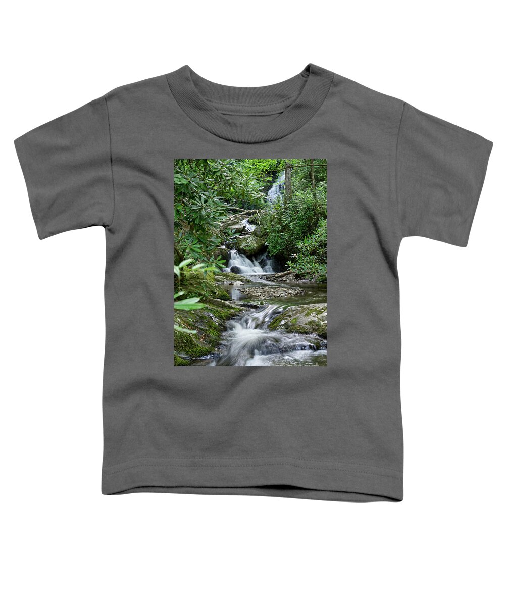 Tennessee Toddler T-Shirt featuring the photograph Spruce Flats Falls 31 by Phil Perkins