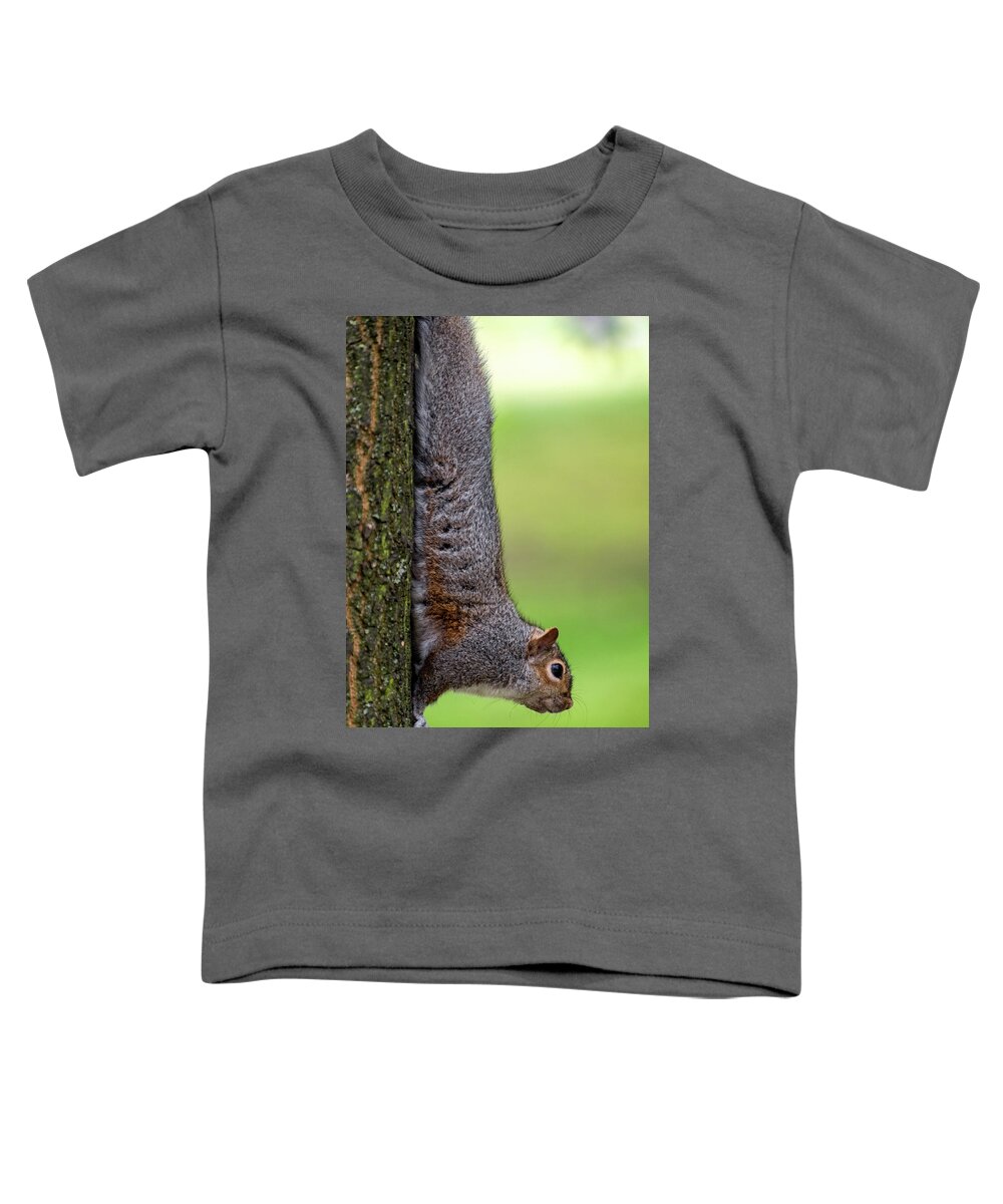 Squirrel Toddler T-Shirt featuring the photograph Squirrel at Greenwich Park 2 by Pablo Lopez