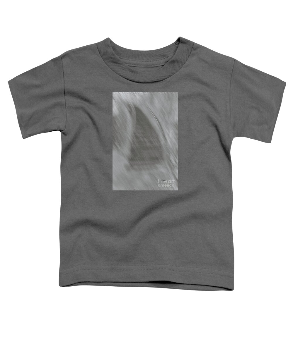 Stairway Toddler T-Shirt featuring the photograph Stairway To II by DB Hayes