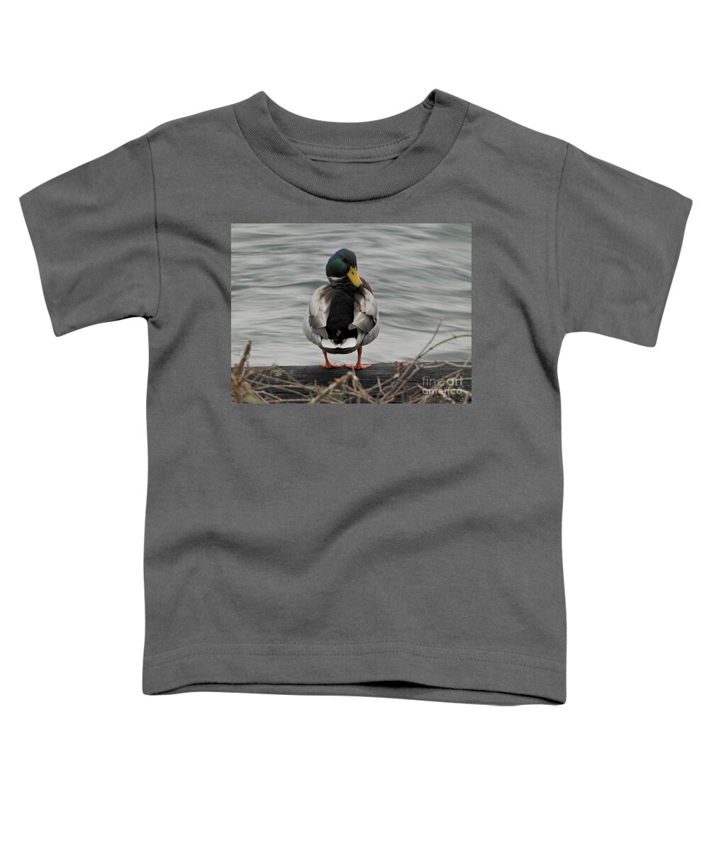 Mallard Duck Toddler T-Shirt featuring the photograph Standing By The Rushing Waters by Sheila Lee