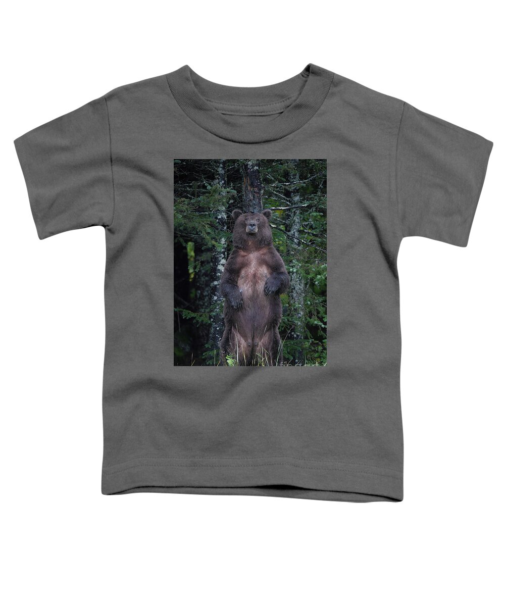 Alaska Toddler T-Shirt featuring the photograph Standing Tall by Patrick Nowotny