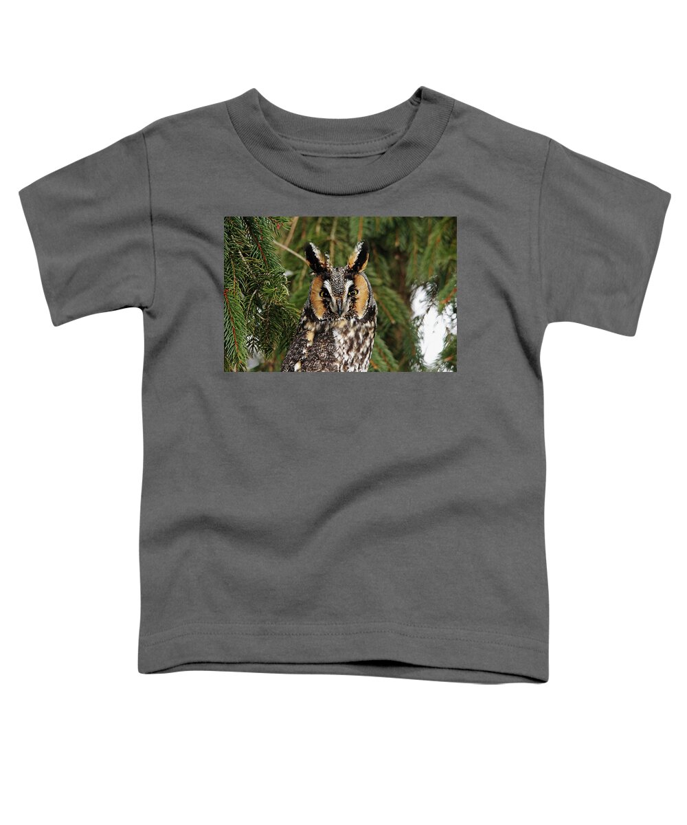 Owl Toddler T-Shirt featuring the photograph Stare Down by Debbie Oppermann