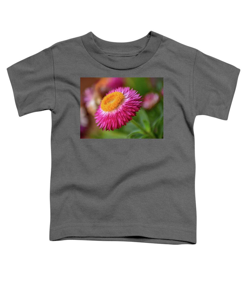 Straw Flower Toddler T-Shirt featuring the photograph Straw Flower by Michelle Wittensoldner