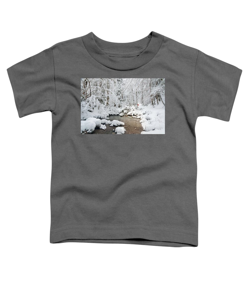 Stream Toddler T-Shirt featuring the photograph Stream near Morzine by Rob Hemphill