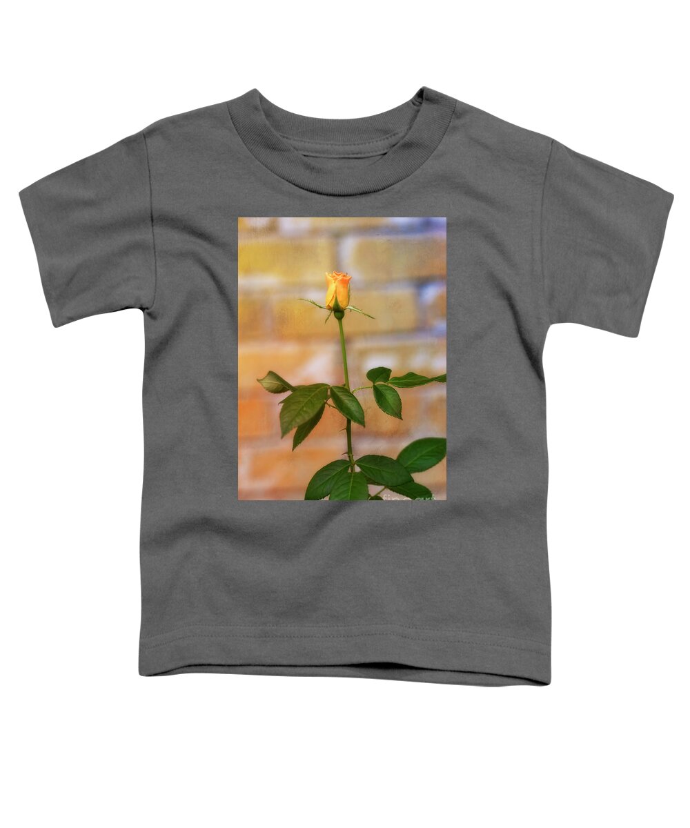 Rose Toddler T-Shirt featuring the photograph Strike a Pose by Joan Bertucci